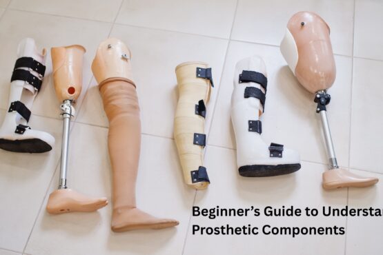 Beginner’s Guide to Understanding Prosthetic Components
