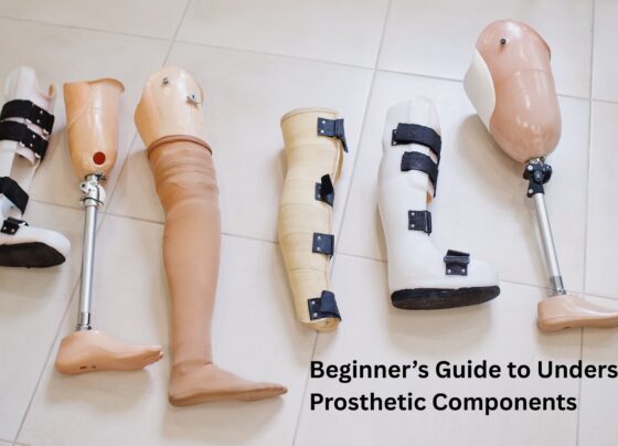 Beginner’s Guide to Understanding Prosthetic Components