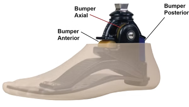 Multi-Axis Prosthetic Foot